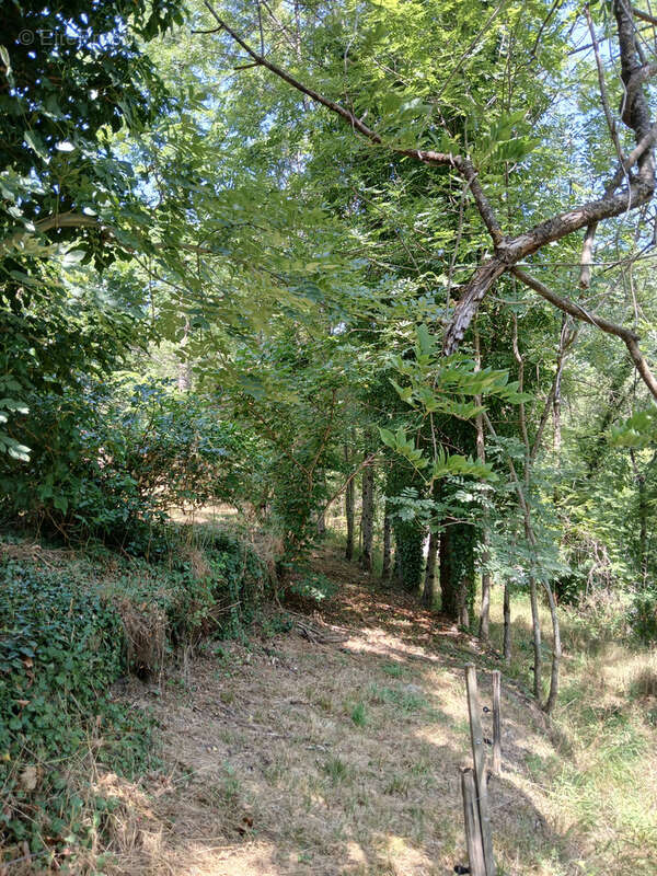 Maison à SAUMANE
