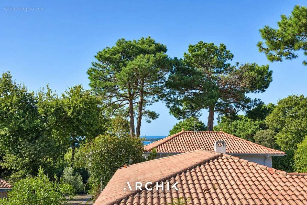Maison 263 m² à Le Bouscat  - photo 7