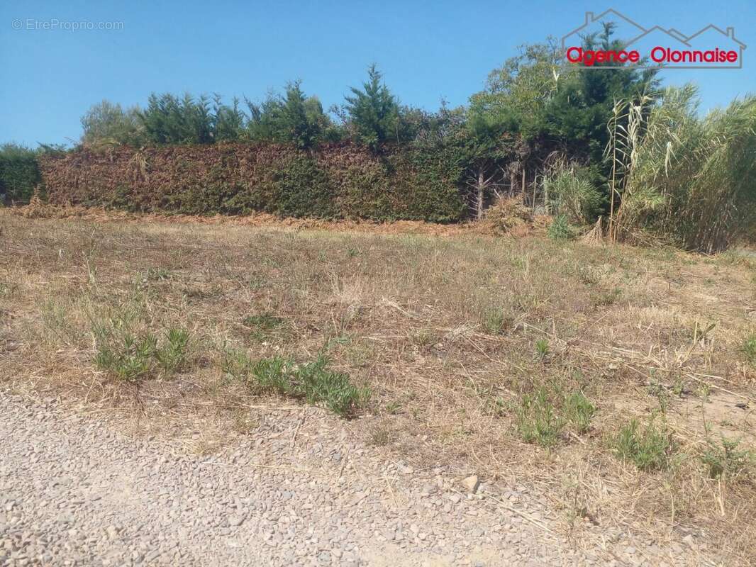 Terrain hors lotissement - photo 2