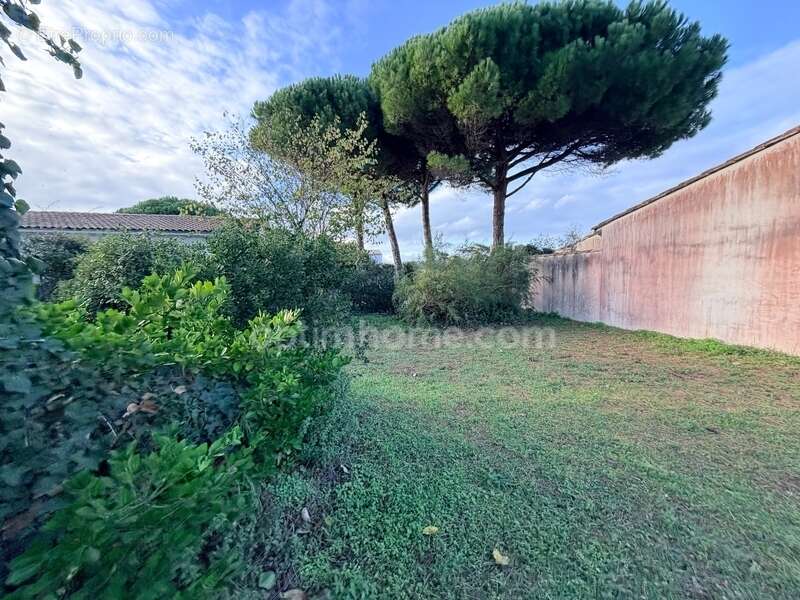 Terrain à LE BOIS-PLAGE-EN-RE