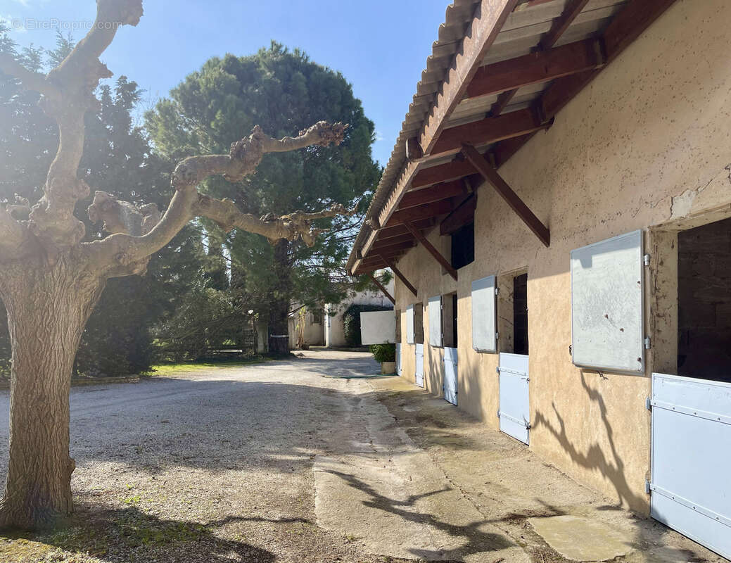 Maison à CAVAILLON