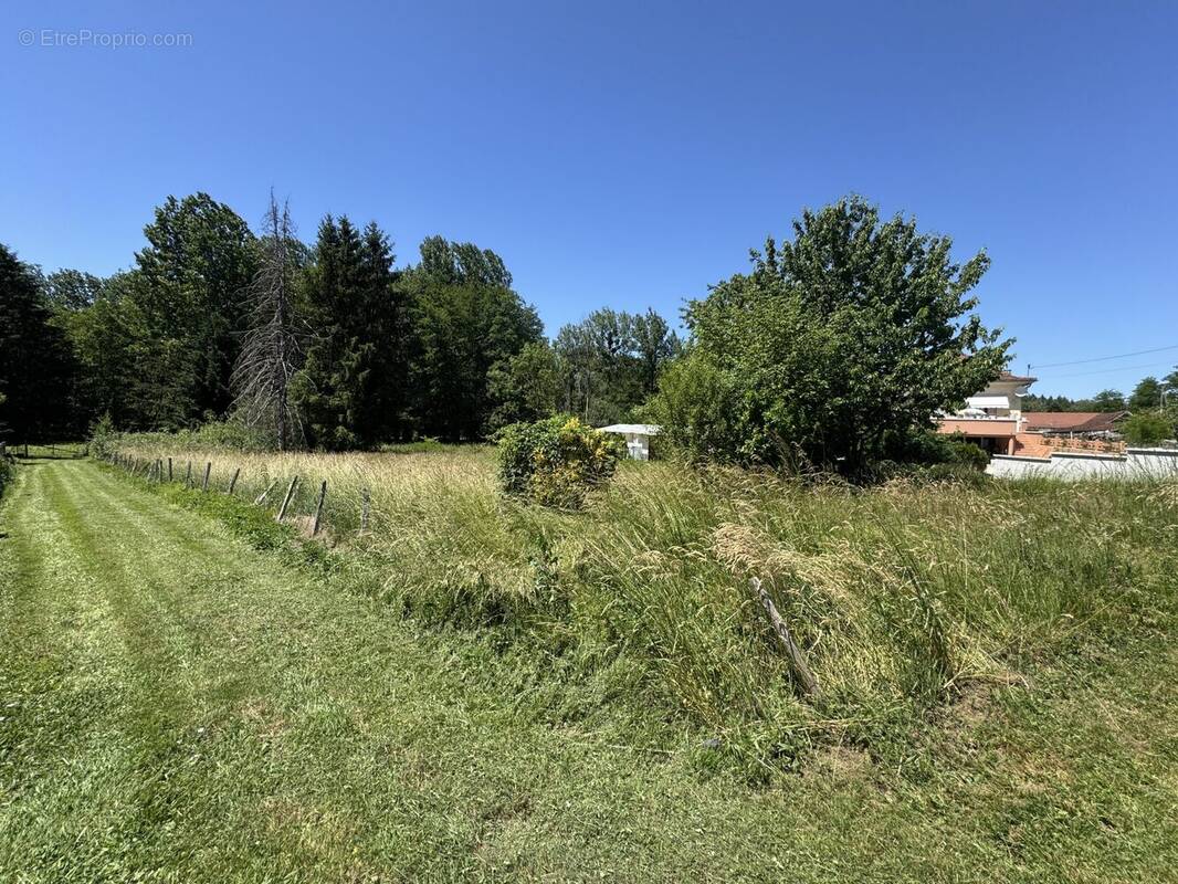 Terrain à PLEURE