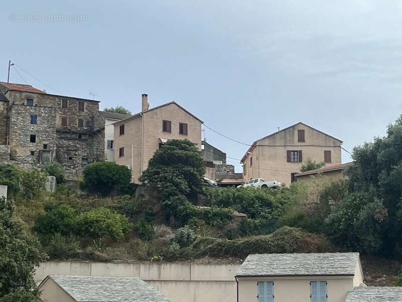 Terrain à PATRIMONIO