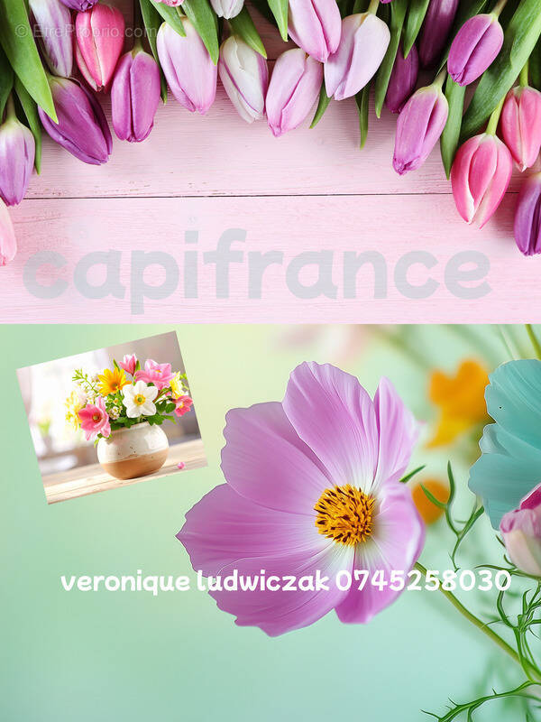 Commerce à SAINT-AMAND-LES-EAUX