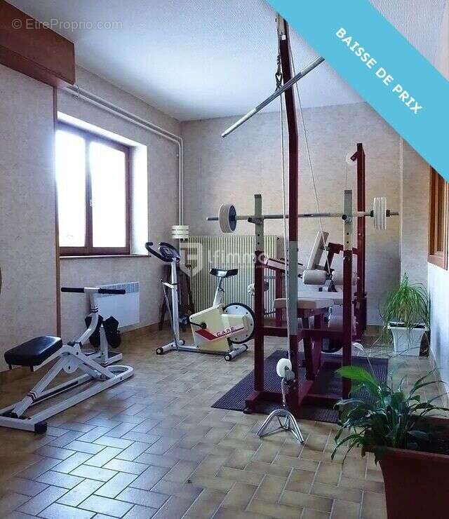 Immeubles 5000 m2 sur 4 ha Murbach - photo 11