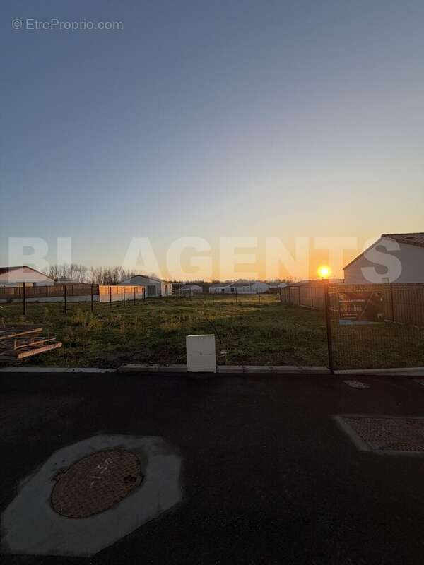 IMG_1280 - Terrain à AVRILLE