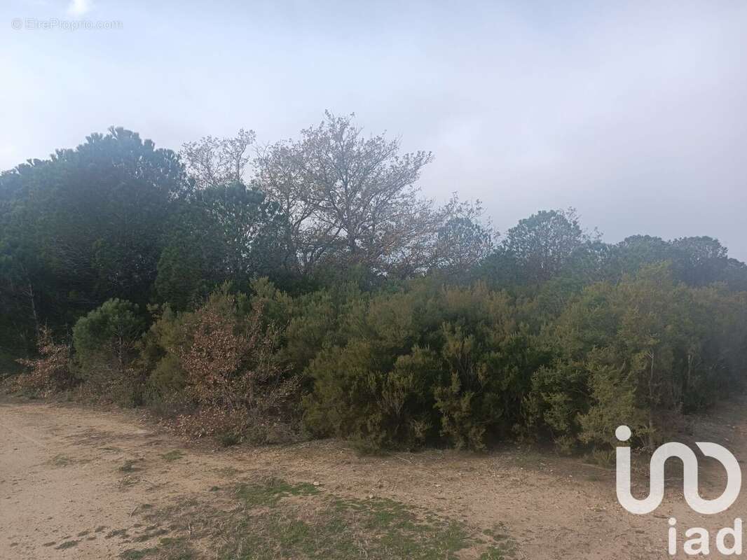 Photo 4 - Terrain à ORTAFFA