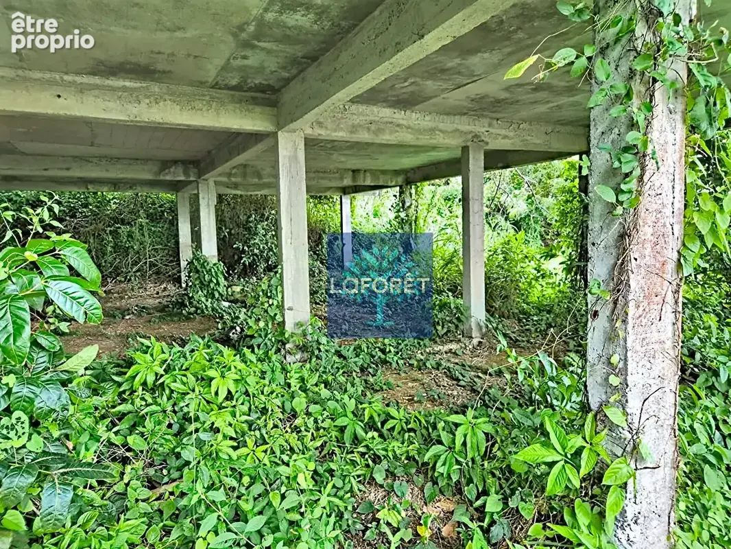 A vendre : Terrain avec vue mer sur les hauteurs de Fort-de-France - photo 6