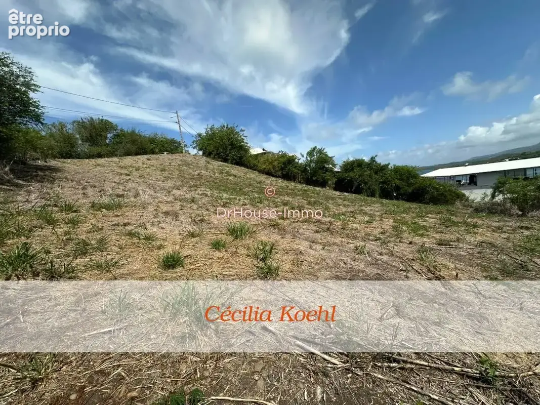 Terrain 3 699 m² à vendre à Le Robert (97231) - photo 8