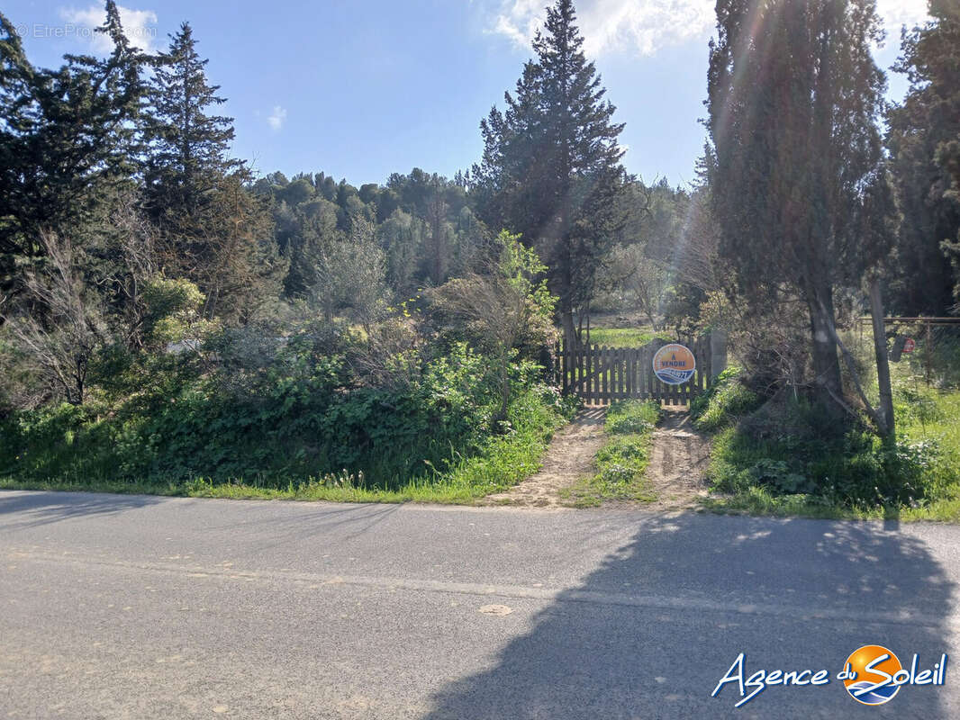 Terrain à PORTEL-DES-CORBIERES
