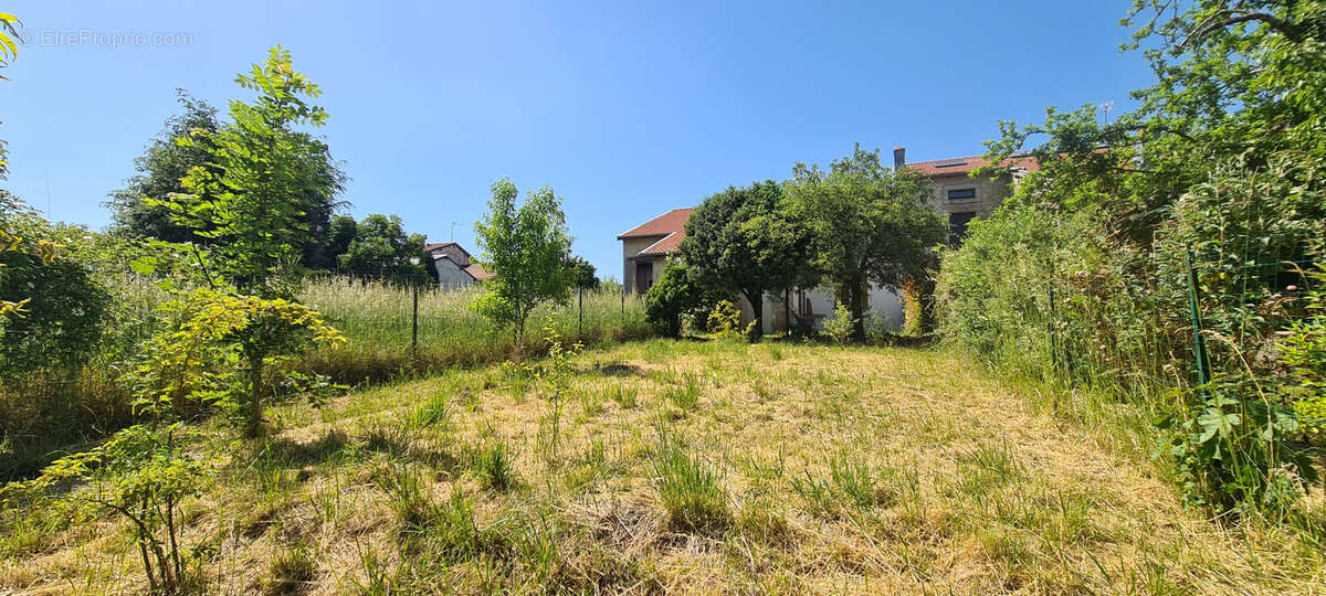 Maison à BETHELAINVILLE