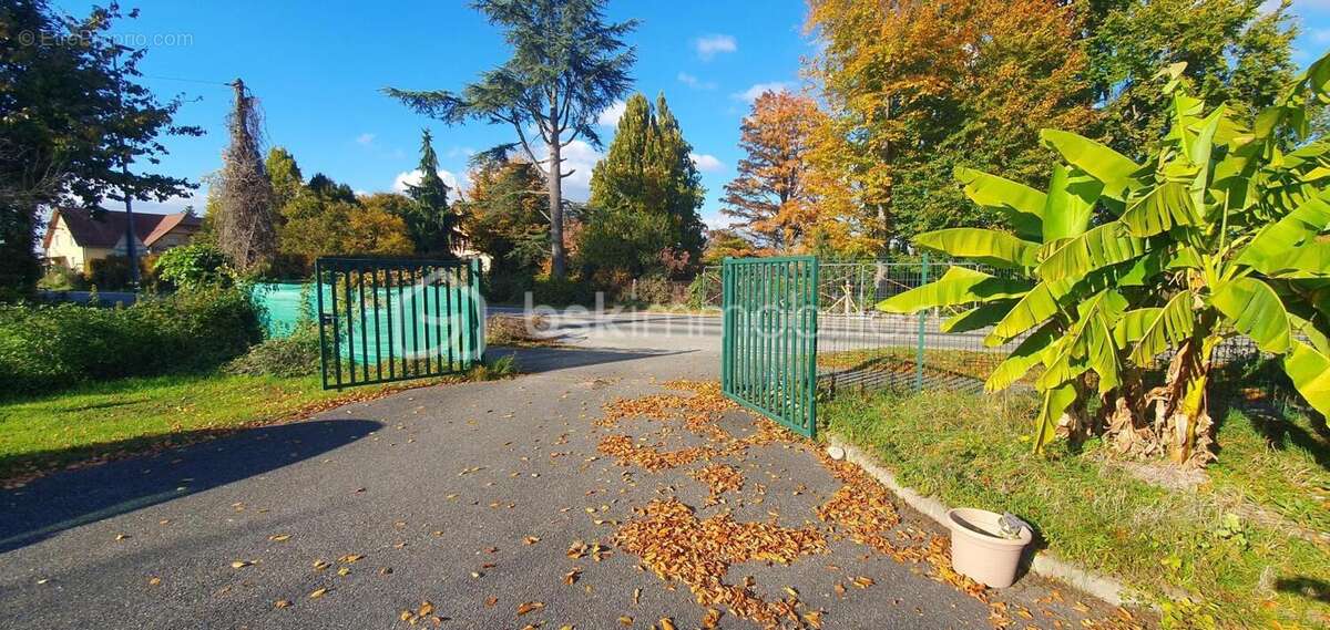 Commerce à MARCKOLSHEIM