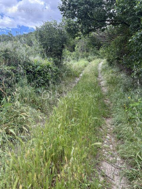 Terrain à MARQUIXANES