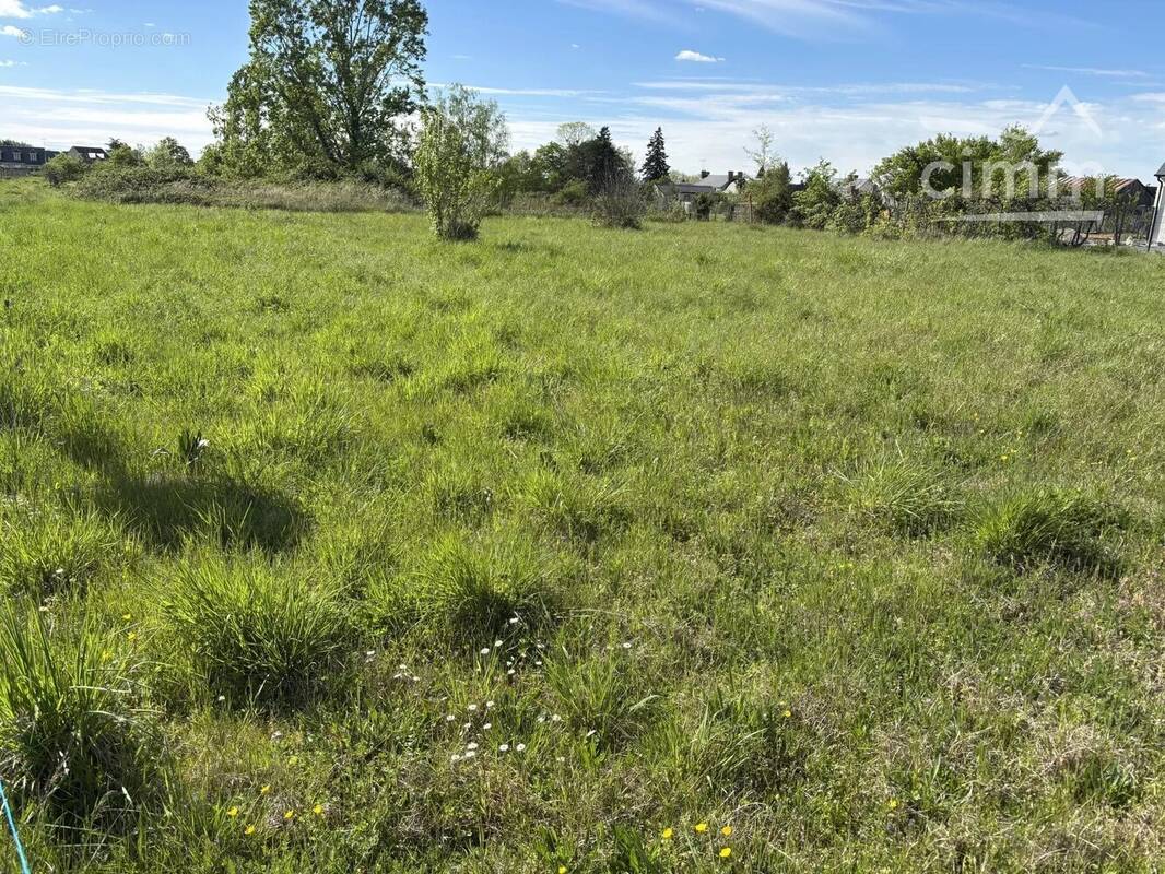 Terrain à MONT-PRES-CHAMBORD