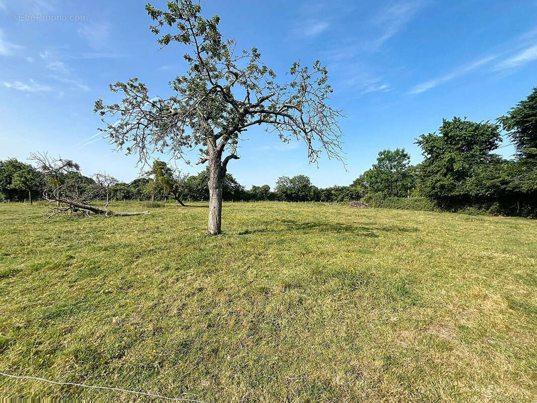 Maison à PONT-AUDEMER