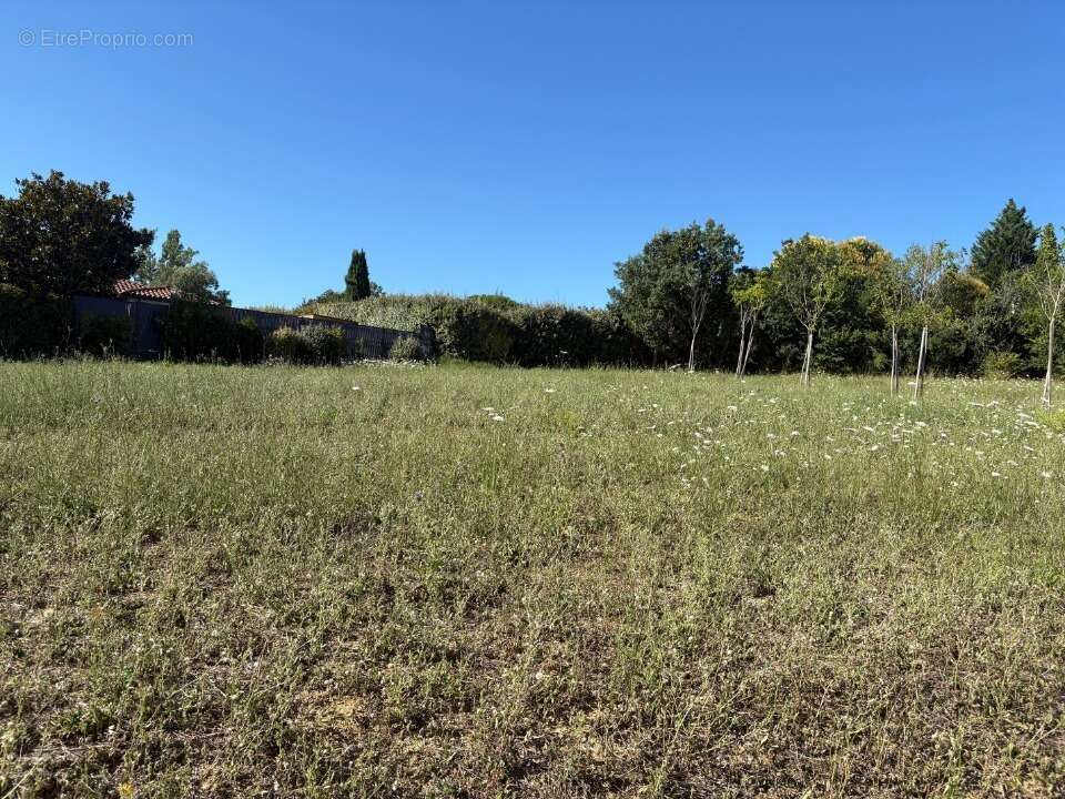 Terrain 600 m² à Villeneuve-Les-Bouloc  - photo 4