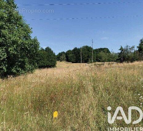 Photo 1 - Terrain à LE MANS