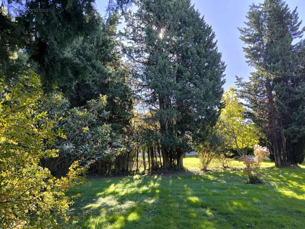 Maison à CARPENTRAS