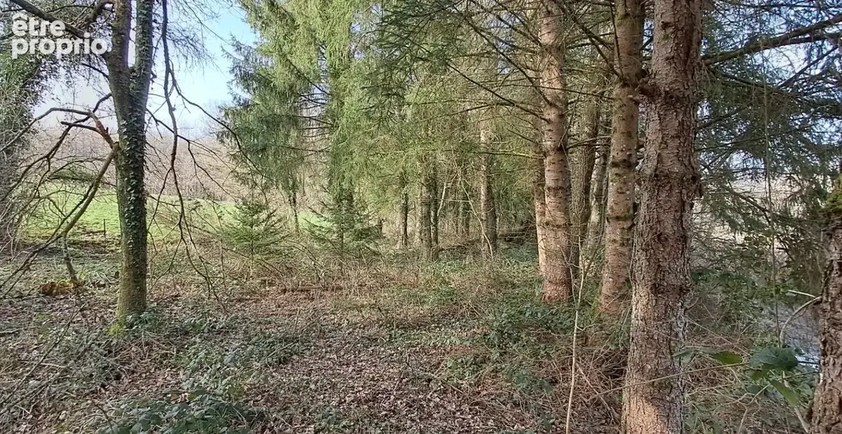 Terrain à GERNELLE