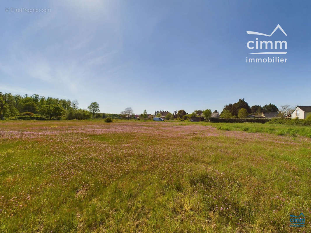 Terrain à LONGUE-JUMELLES