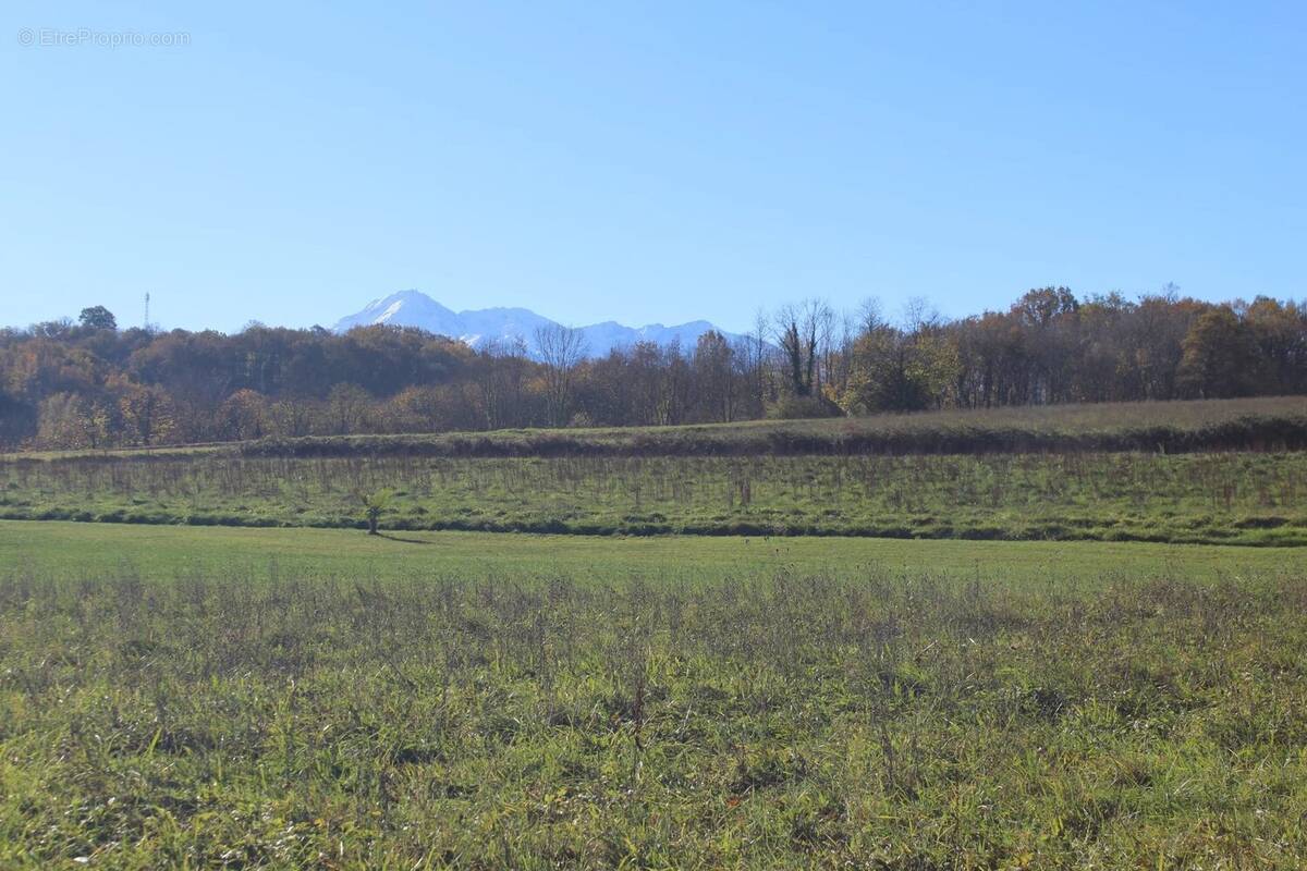 Terrain à FRECHOU-FRECHET