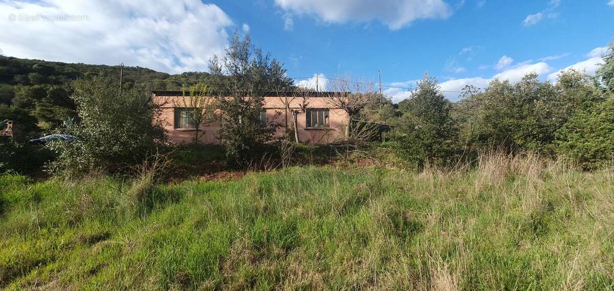 Maison à vendre 6 pièces LE BOSC (34) - photo 2