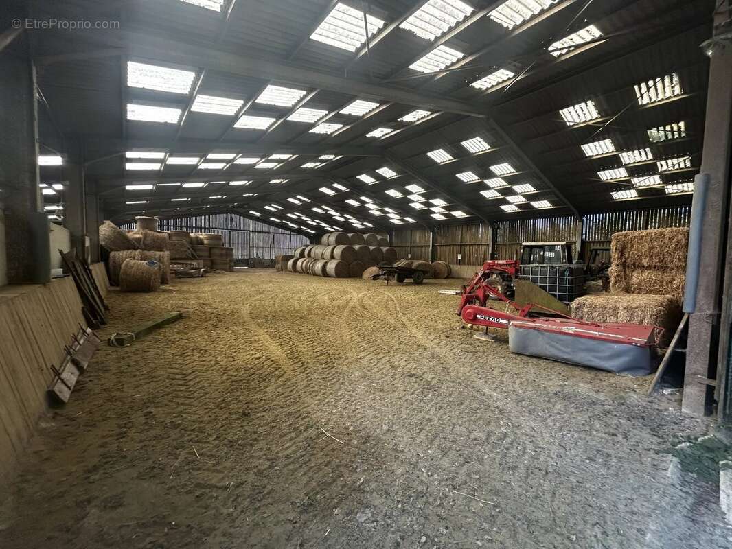 Propriete equestre - photo 7