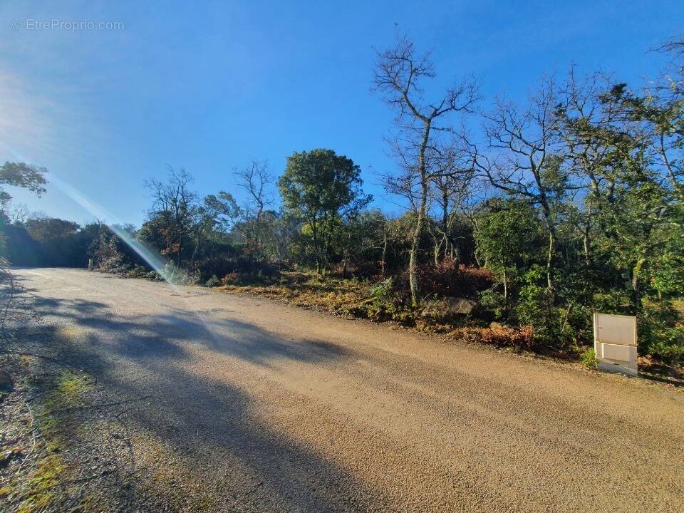 Terrain à LABASTIDE-DE-VIRAC