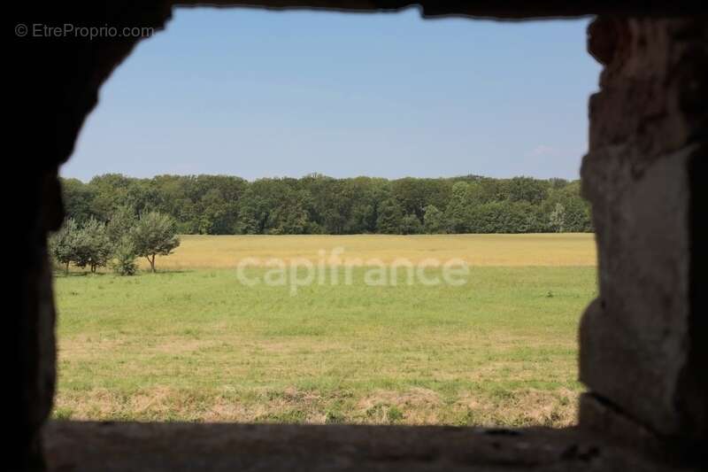 Château du XVIe Siècle au coeur de la Bourgogne à Restaurer - Idéal pour Investisseurs - photo 10