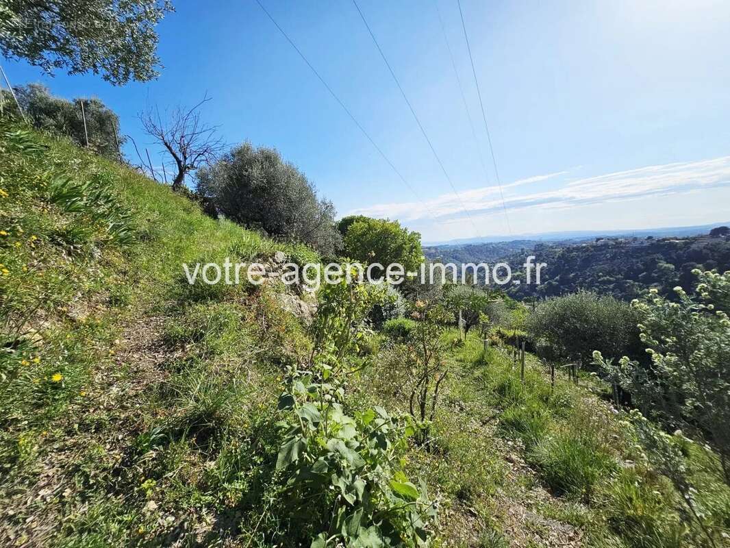 Terrain à ASPREMONT