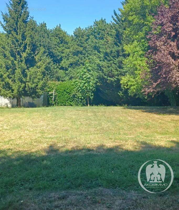 Terrain à CREUZIER-LE-VIEUX