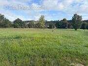 Terrain à SAINT-SULPICE