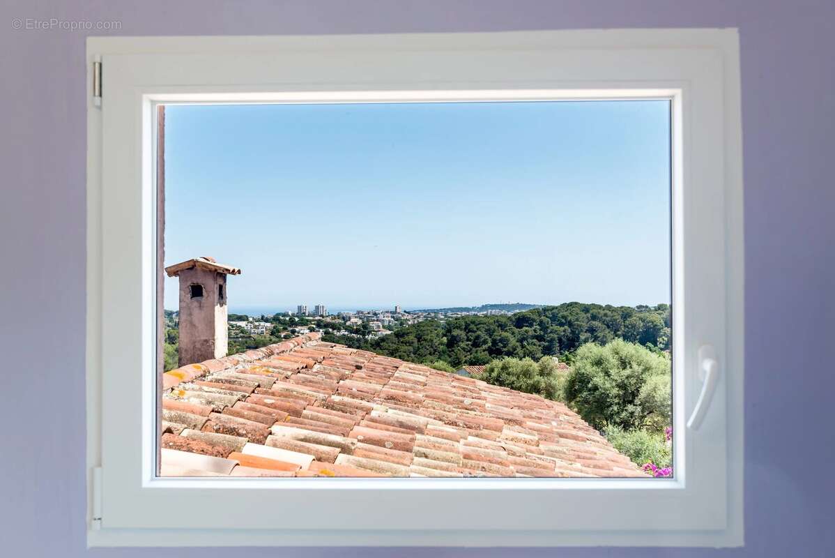 Antibes.Belle propriété.Grand terrain. - photo 25