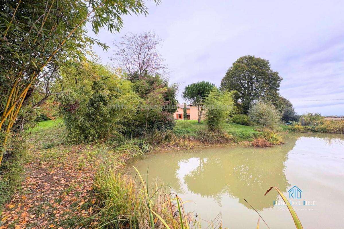 Maison à REVEL-TOURDAN