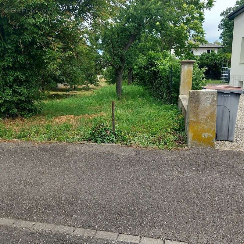 Terrain Baldersheim 648 m2 - photo 3
