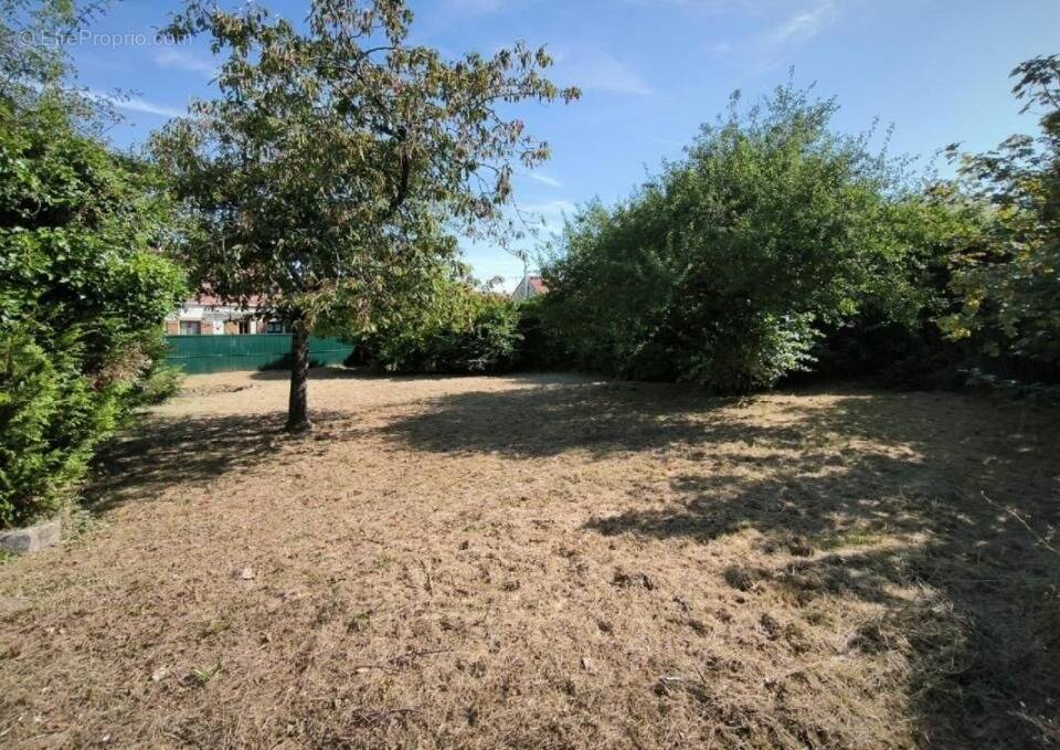 Terrain à PALAISEAU