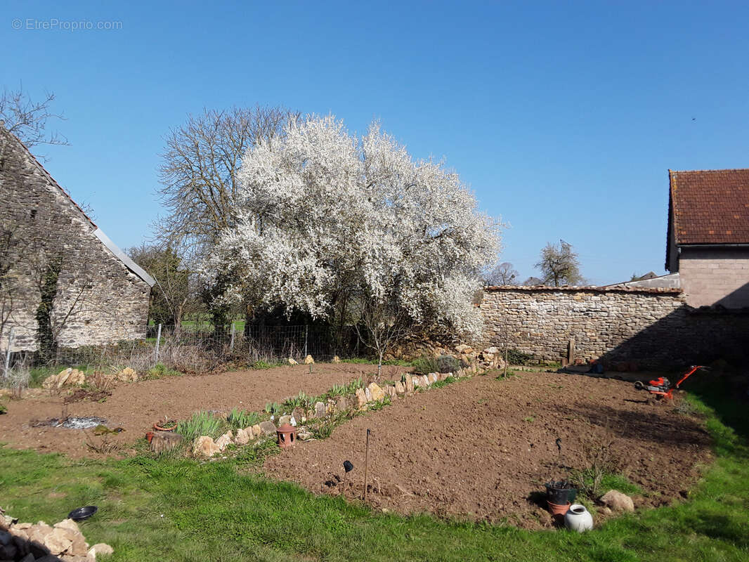 Maison à BLIGNY-SUR-OUCHE