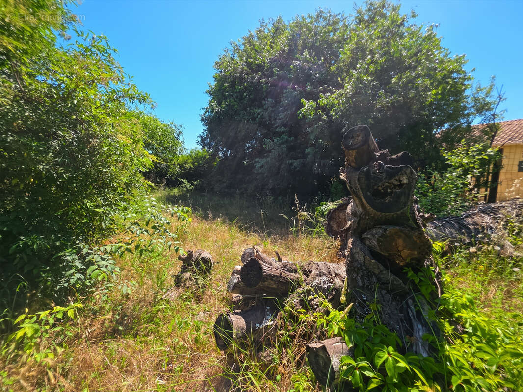 Terrain à BEAUCAIRE