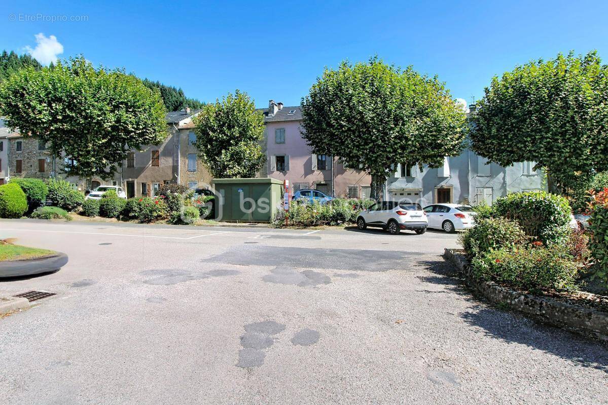 Maison à SAINT-JEAN-DU-BRUEL