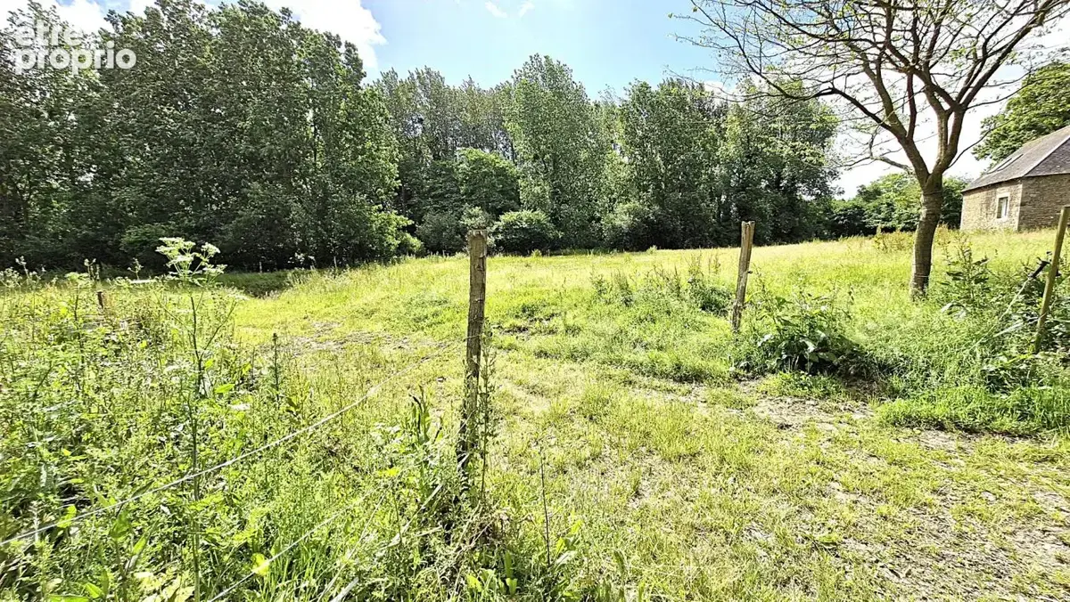 Propriete magnifiquement renovee avec 1,8 hectares - photo 15