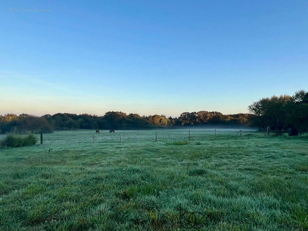Terrain à SAINT-GILDAS-DE-RHUYS