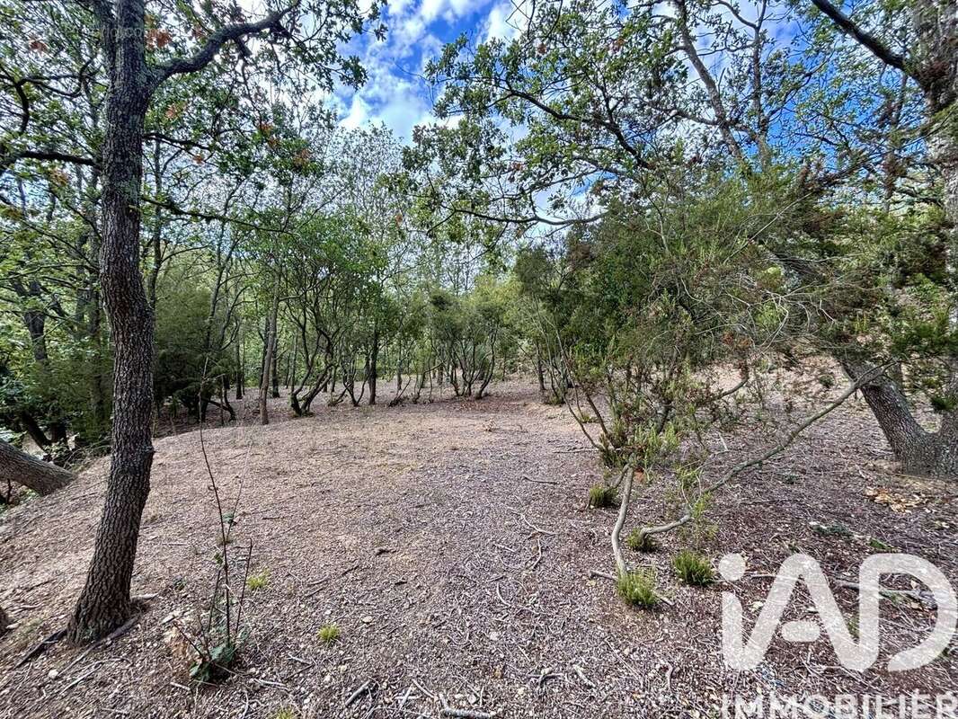 Photo 5 - Terrain à LA PALME