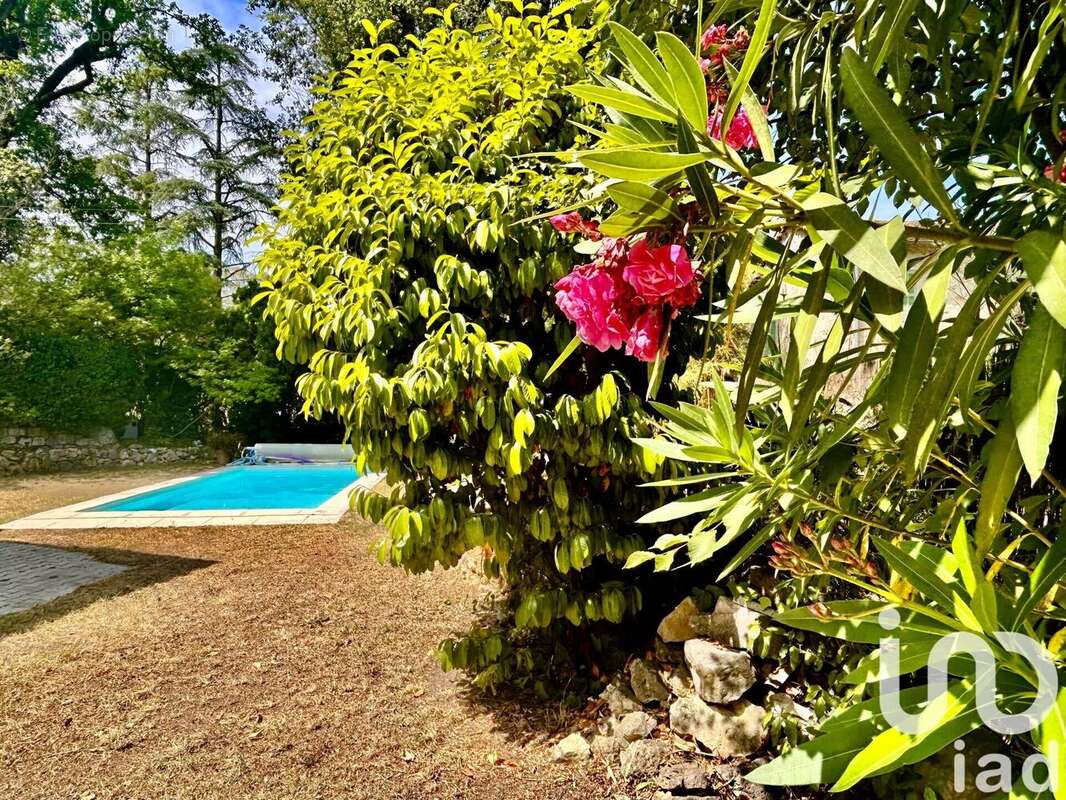 Photo 2 - Maison à ROQUEFORT-LES-PINS