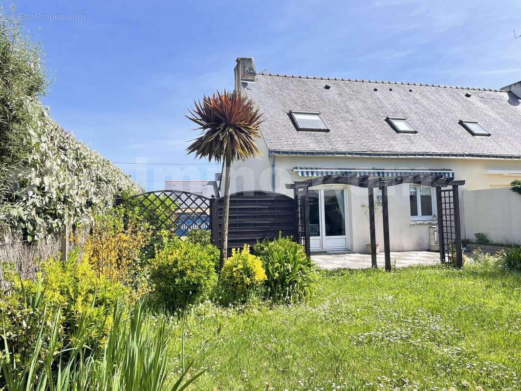 IMG_4344 - Maison à SARZEAU