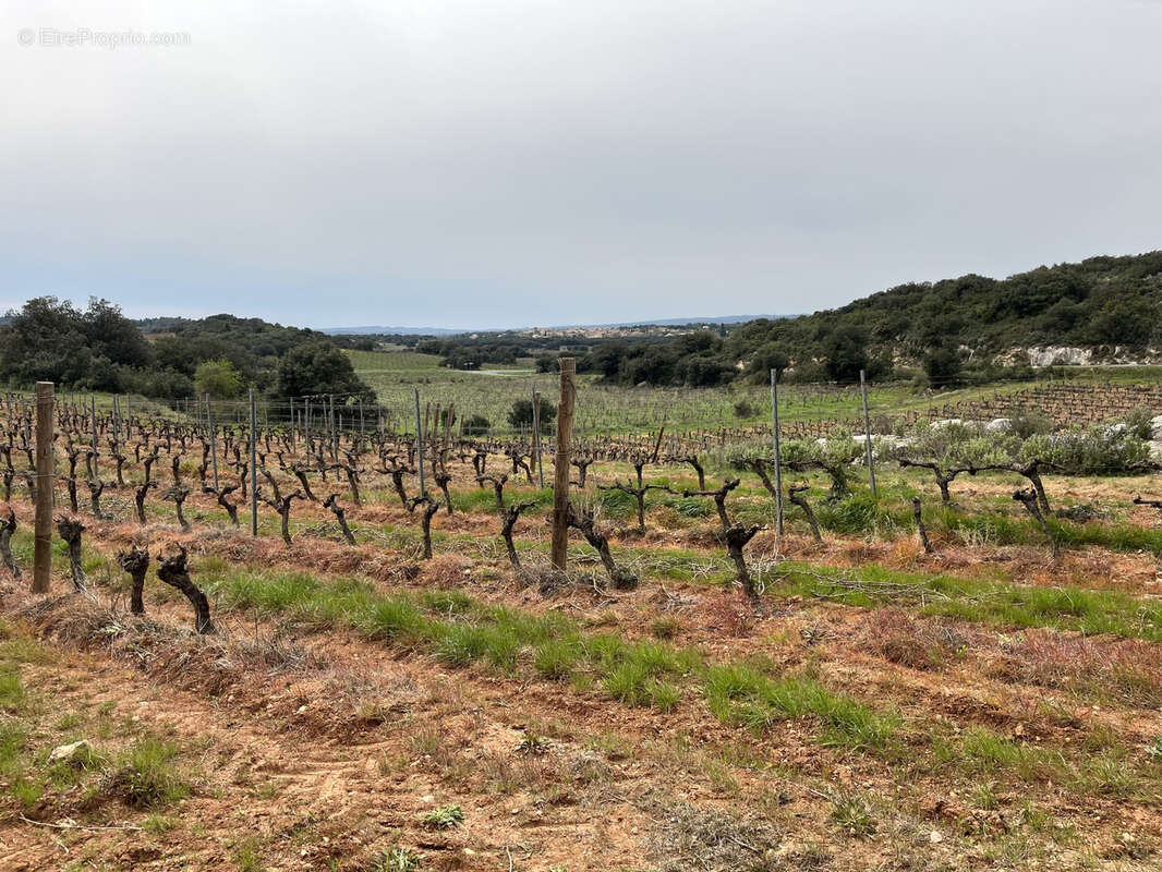 Terrain à SAINT-CHINIAN