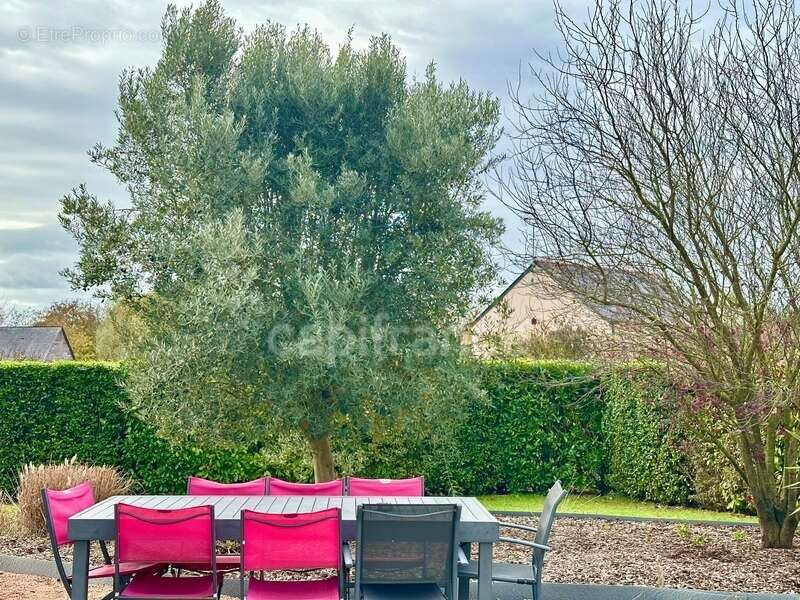 Maison à DOUE-LA-FONTAINE