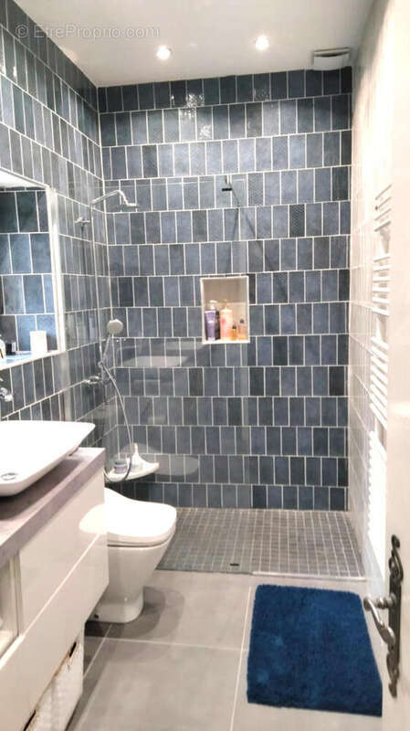 13 AOUT - SDB - Maison à CHENON