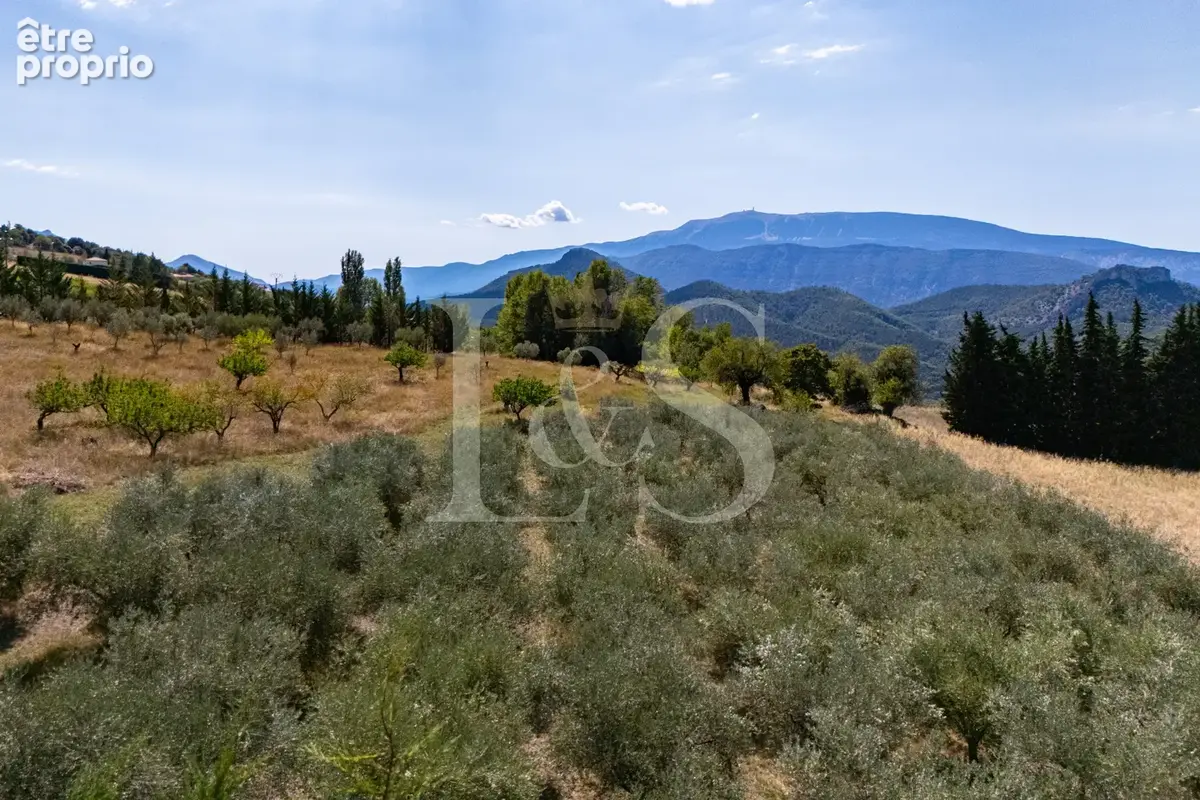 Propriété de caractère avec deux mas et vue sur le Mont Ventoux - photo 3