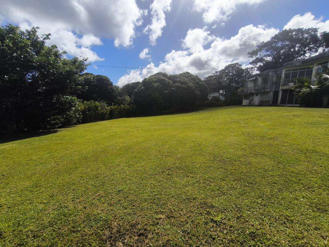 Terrain à PETIT-BOURG