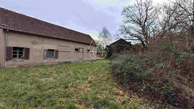 Propriété de chasse en Sologne s'étendant sur 84 hectares. A 15 minutes de Romorantin - photo 11